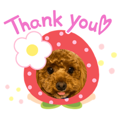 [LINEスタンプ] バズとあい