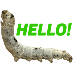 [LINEスタンプ] Everyday insects