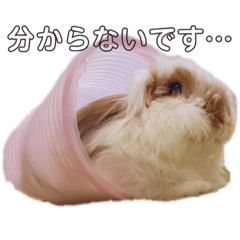 [LINEスタンプ] ふくさん、日常会話①