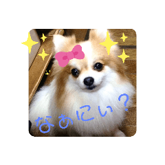 [LINEスタンプ] 私はお嬢様