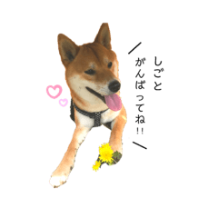[LINEスタンプ] 愛犬♡ワンちゃん2