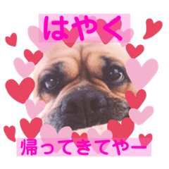 [LINEスタンプ] 関西弁 ブサかわ犬ハラミちゃん