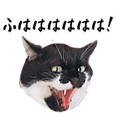 [LINEスタンプ] すみパン家のバットニャン