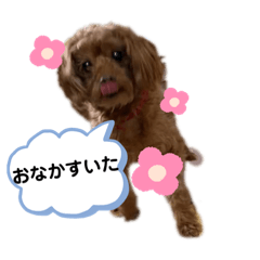 [LINEスタンプ] ペコ。