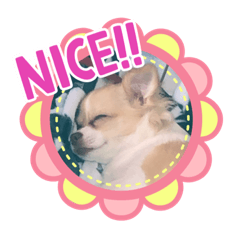 [LINEスタンプ] はるちゃん その五