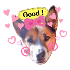 [LINEスタンプ] はなちゃんで日常会話パート1