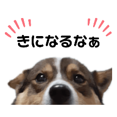 [LINEスタンプ] しおんくんかわいすぎ