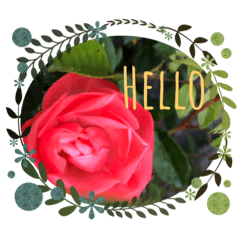 [LINEスタンプ] rose and ‥