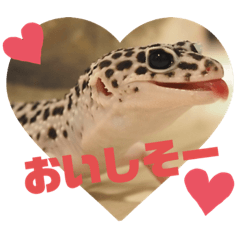 [LINEスタンプ] かわいいレオパ・ニシアフ スタンプ