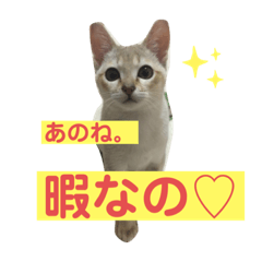 [LINEスタンプ] 秀吉の気ままな日常