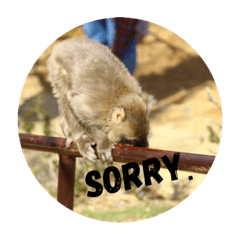 [LINEスタンプ] monkey stamps.