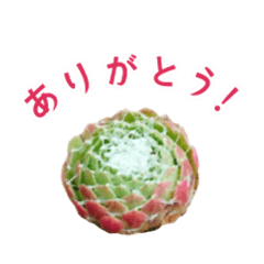 [LINEスタンプ] センペルビウムとジョビバルバ