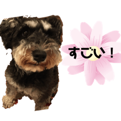 [LINEスタンプ] つくちゃんいいこ2