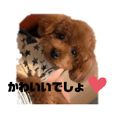 [LINEスタンプ] もかちゃんスタンプ①