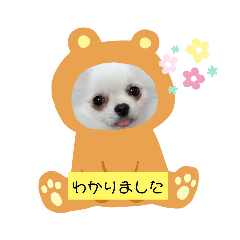 [LINEスタンプ] めろんとにこる