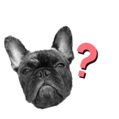 [LINEスタンプ] dog  MIX