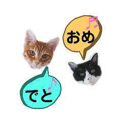 [LINEスタンプ] ふうきん③