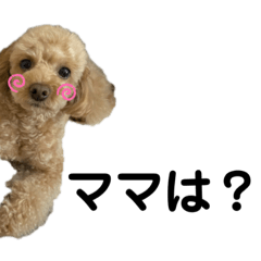 [LINEスタンプ] ごんちゃん家のティンク2