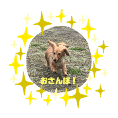 [LINEスタンプ] 小林家のルゥ