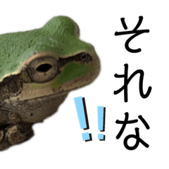 [LINEスタンプ] リアルなかえるのきもち 2