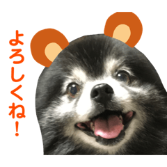 [LINEスタンプ] 黒ポメのポンタくん7