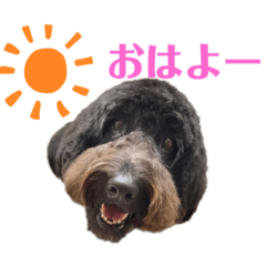 [LINEスタンプ] マーチ スタンプ