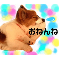 [LINEスタンプ] るいるるららのスタンプ