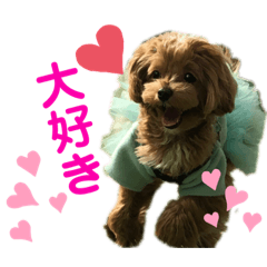 [LINEスタンプ] だぴちゃんno.1