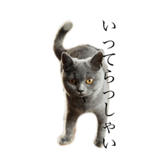 [LINEスタンプ] ビビ①