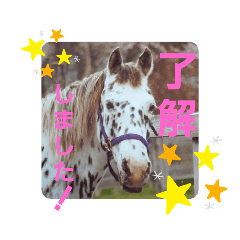 [LINEスタンプ] アパルーサくん 1