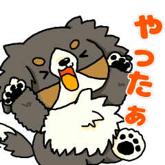 [LINEスタンプ] 我が家の夢太郎～日常～