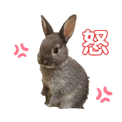 [LINEスタンプ] Cocoa_family2