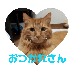 [LINEスタンプ] おかきくんのかきちゃんすたんぷ