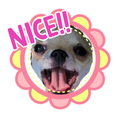 [LINEスタンプ] Claireちゃん