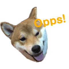 [LINEスタンプ] Piposhiba2