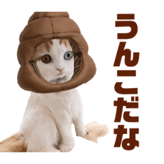 [LINEスタンプ] 癒しの口悪スコティッシュあまこ