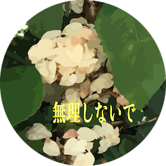[LINEスタンプ] 励まし・応援用 花のスタンプ