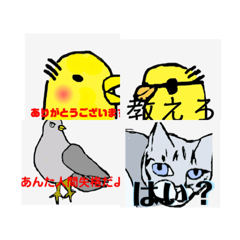 [LINEスタンプ] いろいろ混じってるる鳥スタンプ5