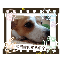 [LINEスタンプ] ハル君の気分