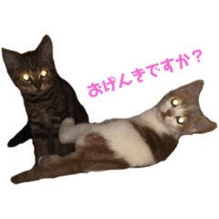 [LINEスタンプ] あむくんとてんちゃん