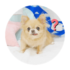 [LINEスタンプ] おキャンスタンプ2