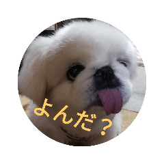 [LINEスタンプ] ぺきにーずのすたんぷ