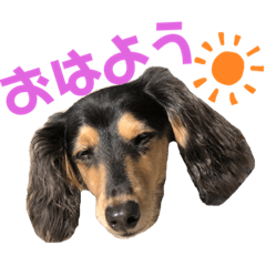 [LINEスタンプ] 銀二のすたんぷ