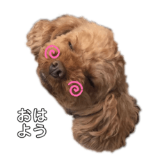 [LINEスタンプ] もことのん