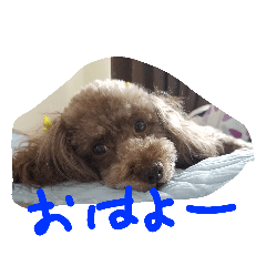 [LINEスタンプ] ボビーすたんぷ