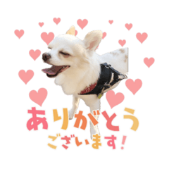 [LINEスタンプ] 翔 ひま 中トロ スタンプ
