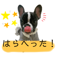 [LINEスタンプ] フレンチブル姫ちゃんの気まぐれスタンプ①