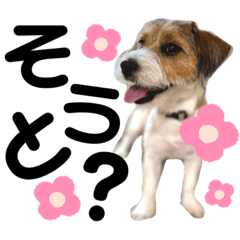 [LINEスタンプ] わたし、リリィ！