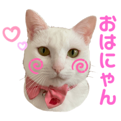 [LINEスタンプ] エルサ姫stamp