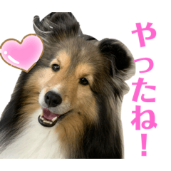 [LINEスタンプ] Winスタンプ②